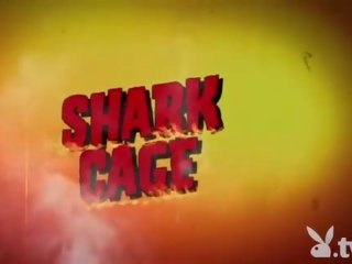 Гадняр момичета swam с shark в на клетка