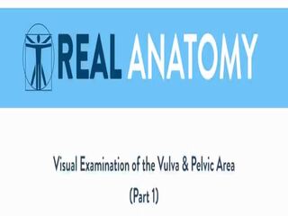 Με πλούσιο στήθος μελαχρινός/ή ταινίες ο anatomy του αυτήν αιδοίο θήλεος