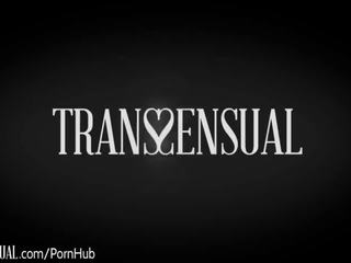 Transsensual chanel santini & lance αρσενικό ελάφι 69 & πρωκτικό σεξ